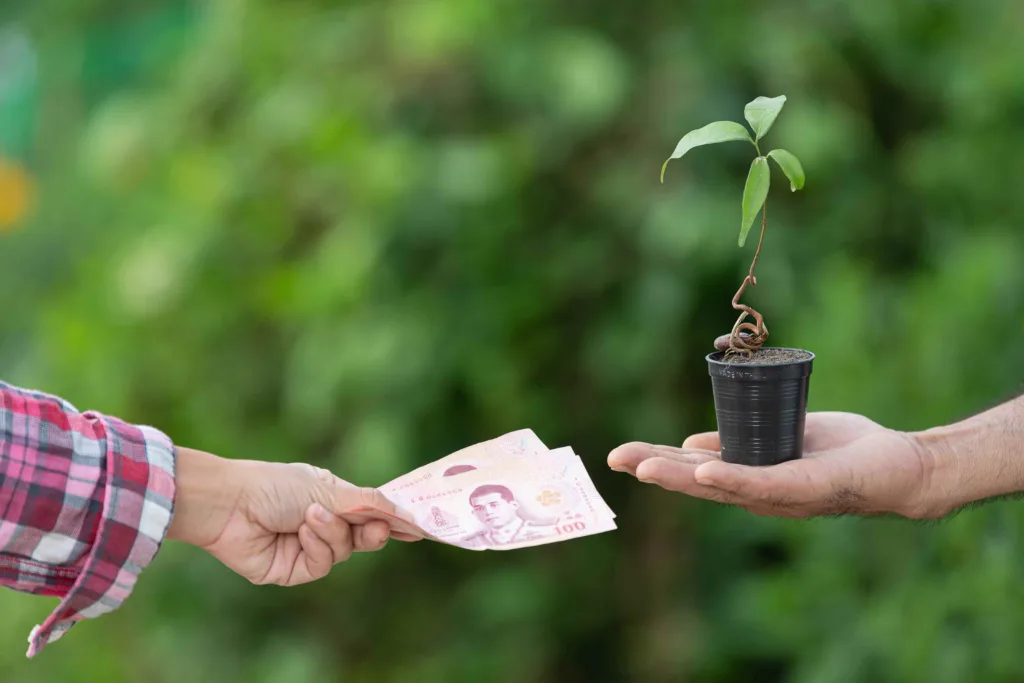Bosqar Eyes €150M in Sustainability Bonds Amid ESG Push