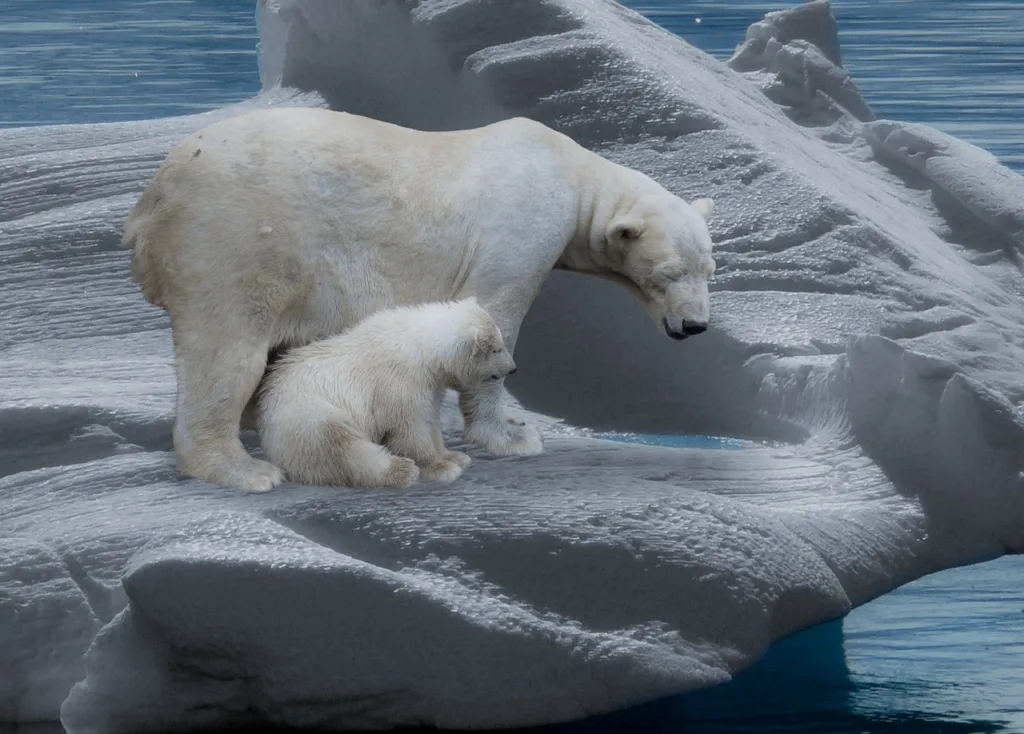 Global Banking Regulators Unite to Tackle Climate Risk, Despite U.S. Resistance