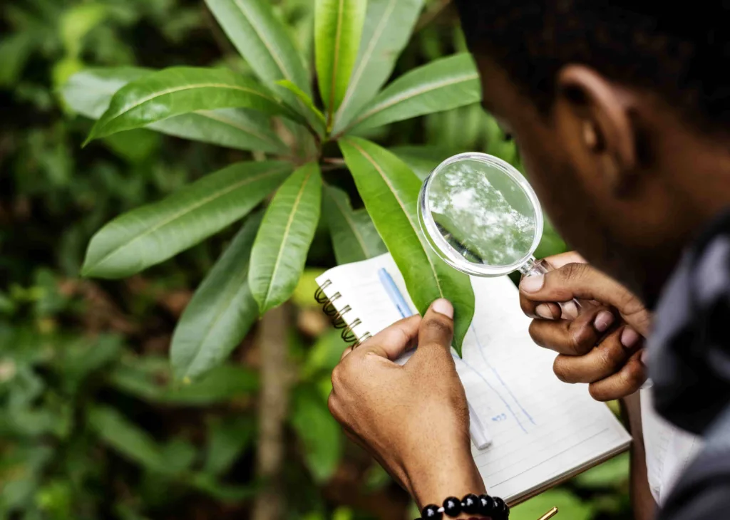 Why the EU Must Defend Its Green Future