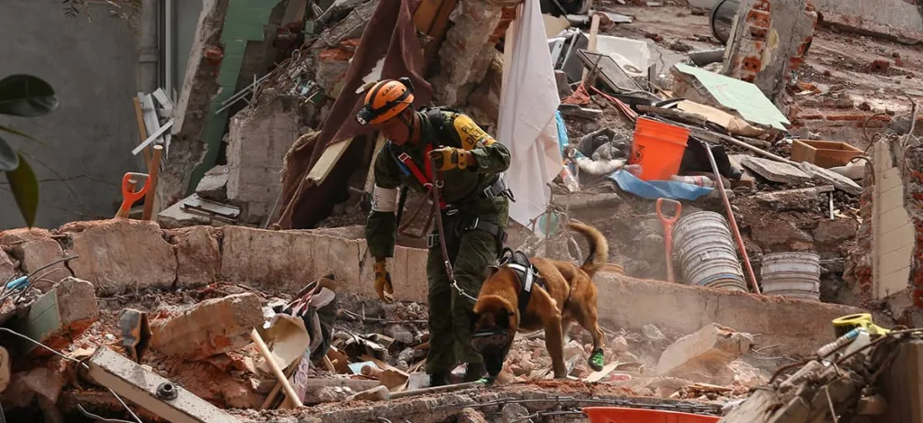 Hurricanes, Trust, and the Role of Aid: Lessons from Mexico City’s 2017 Earthquake